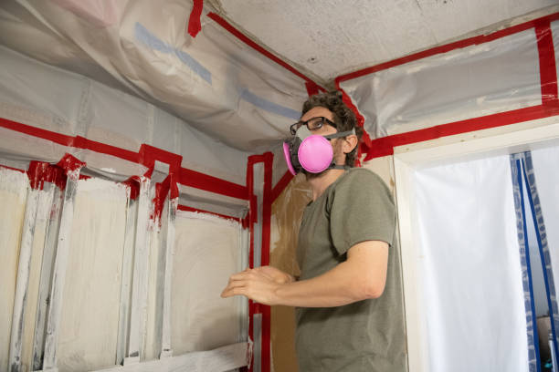 Best Mold Odor Removal Services  in Gordonsville, TN