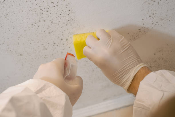 Gordonsville, TN Mold Removal Company